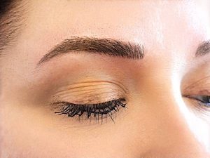 Permanent Cosmetic brow training